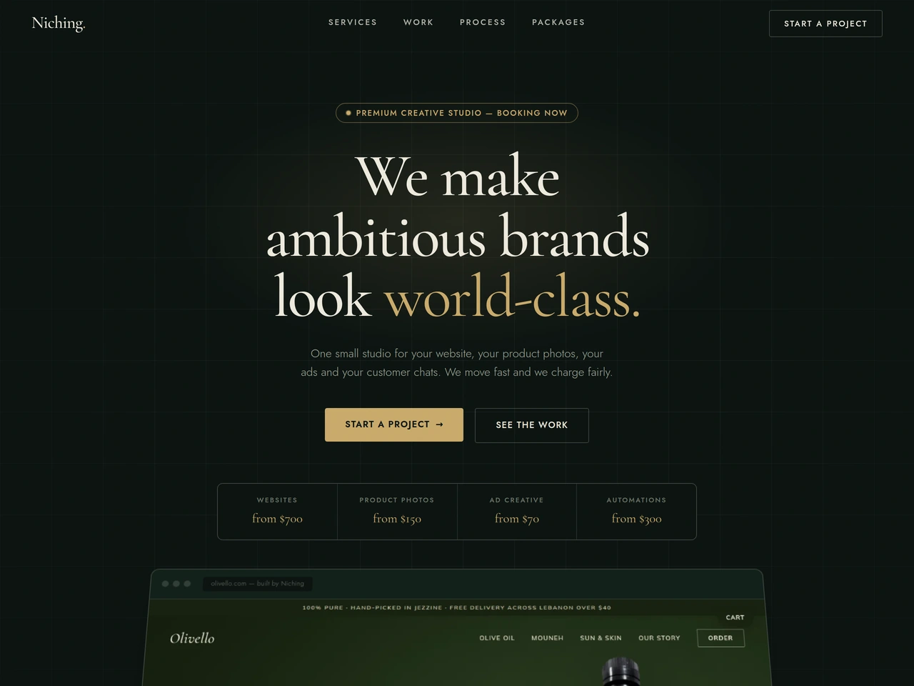 Niching — Studio site · Motion system